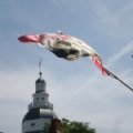 Fall Festival in Downtown Annapolis; State Circle and Maryland Avenue