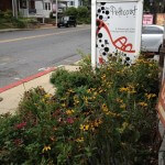 Annapolis Street Deals and Specials; Fashion