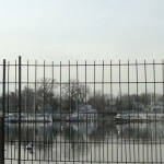 Things to do in Annapolis, February 11-17