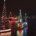 EYC Christmas Tree Lights