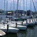 Cruising, Sailing, and Boating in Annapolis on the Bay and Severn River